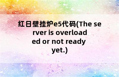 红日壁挂炉e5代码(The server is overloaded or not ready yet.)